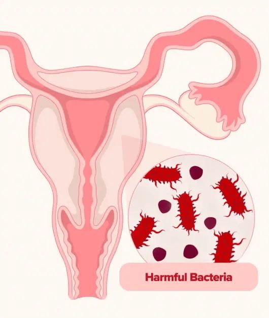 Vagibal Probiotic